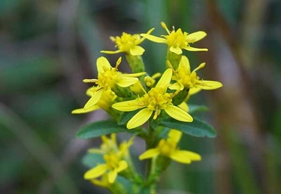 201024-13.jpg
