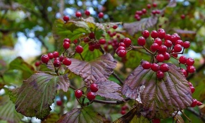 201024-14.jpg