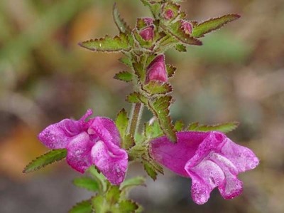 201024-16.jpg
