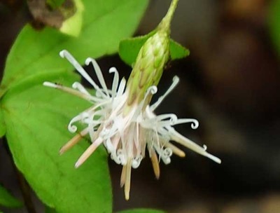 201024-18.jpg