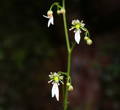 201024-19.jpg