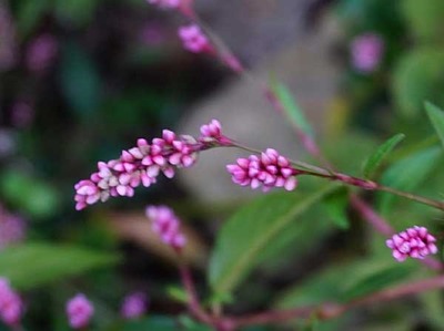 201024-20.jpg