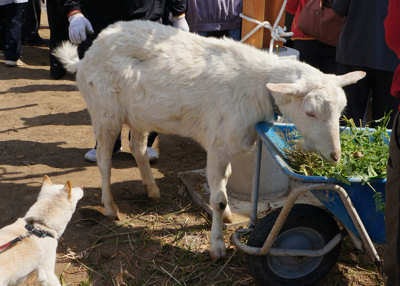 20130414-09.jpg