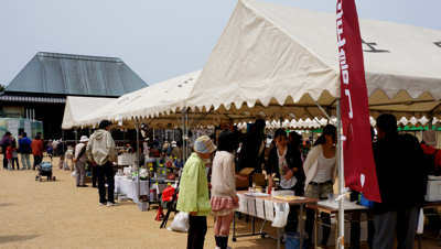 20130414-13.jpg