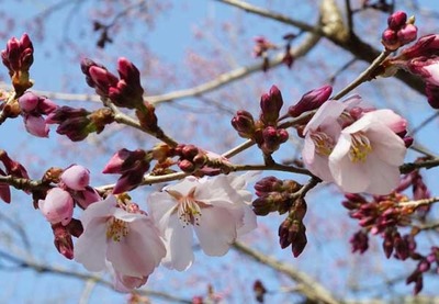 210314-10.jpg