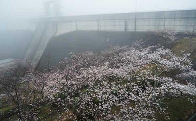 210321-12.jpg