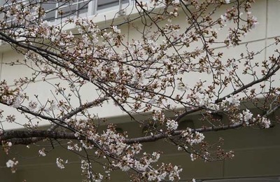 210321-13.jpg