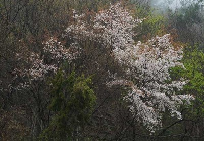 210321-14.jpg