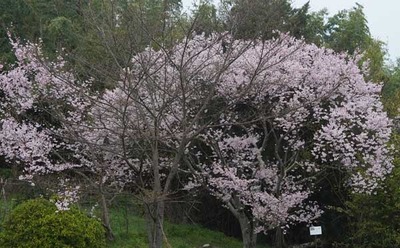 210321-17.jpg
