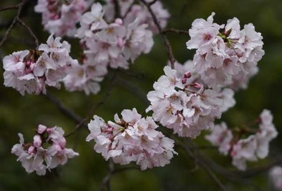 210321-18.jpg