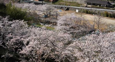 210328-13.jpg