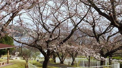 210328-15.jpg