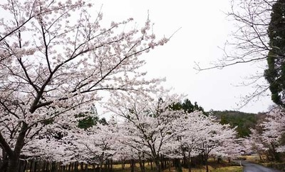 210328-16.jpg