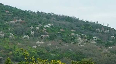 210328-18.jpg
