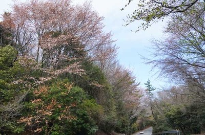 210403-11.jpg