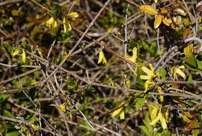 210411-02.jpg