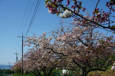 210411-18.jpg