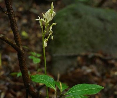 210627-19.jpg