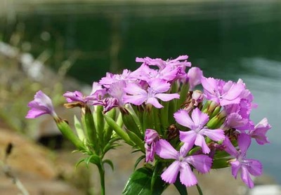 210718-01.jpg