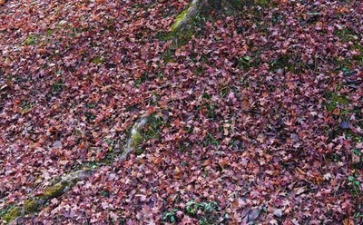 211114-09.jpg