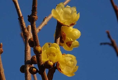 220116-12.jpg