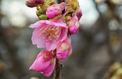 220130-03.jpg