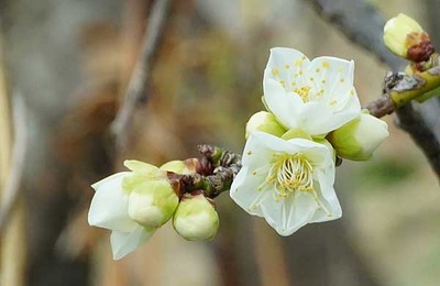 220130-06.jpg
