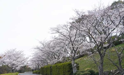 220403-04.jpg