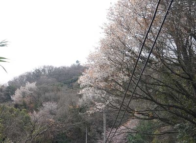 220403-09.jpg