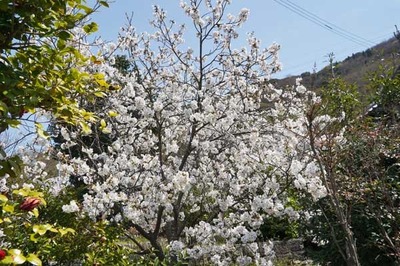220406-06.jpg
