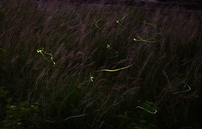 220519-06.jpg