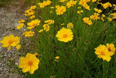 220521-10.jpg