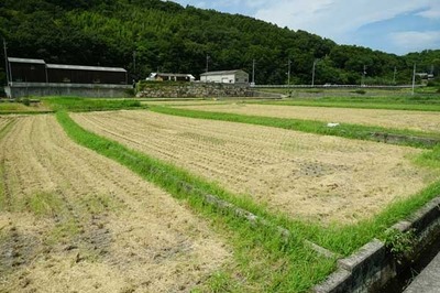 220811-02.jpg