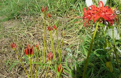220905-02.jpg