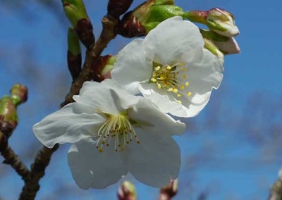 230322-02.jpg