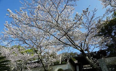 230328-03.jpg
