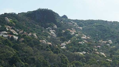 230329-11.jpg