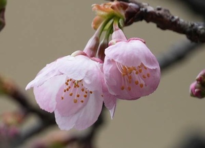 250311-01.jpg