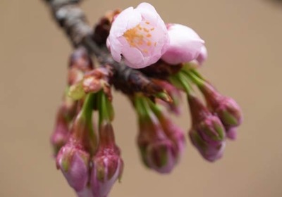 250311-02.jpg