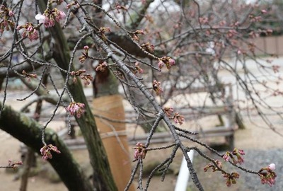 250311-03.jpg
