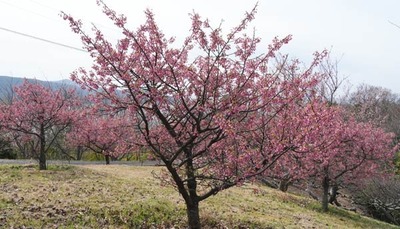 250314-01.jpg