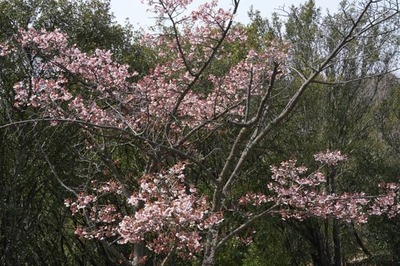 250314-03.jpg