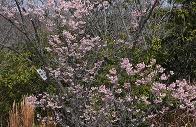 250314-04.jpg