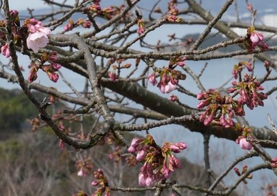 250314-05.jpg