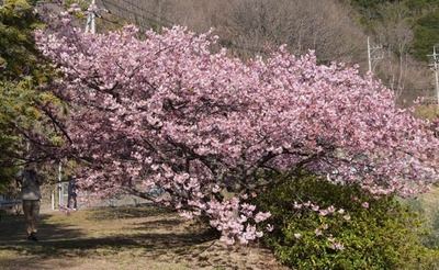 250314-06.jpg