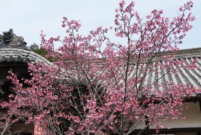 250314-07.jpg