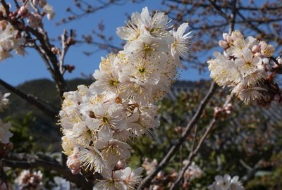 250314-10.jpg