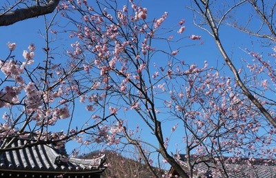 250314-11.jpg
