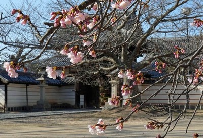 250314-12.jpg