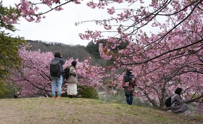 250315-06.jpg